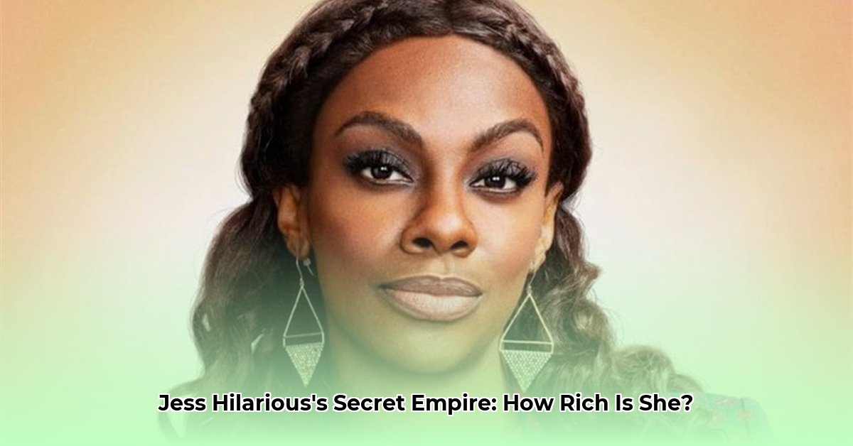 jess-hilarious-income-sources-2024